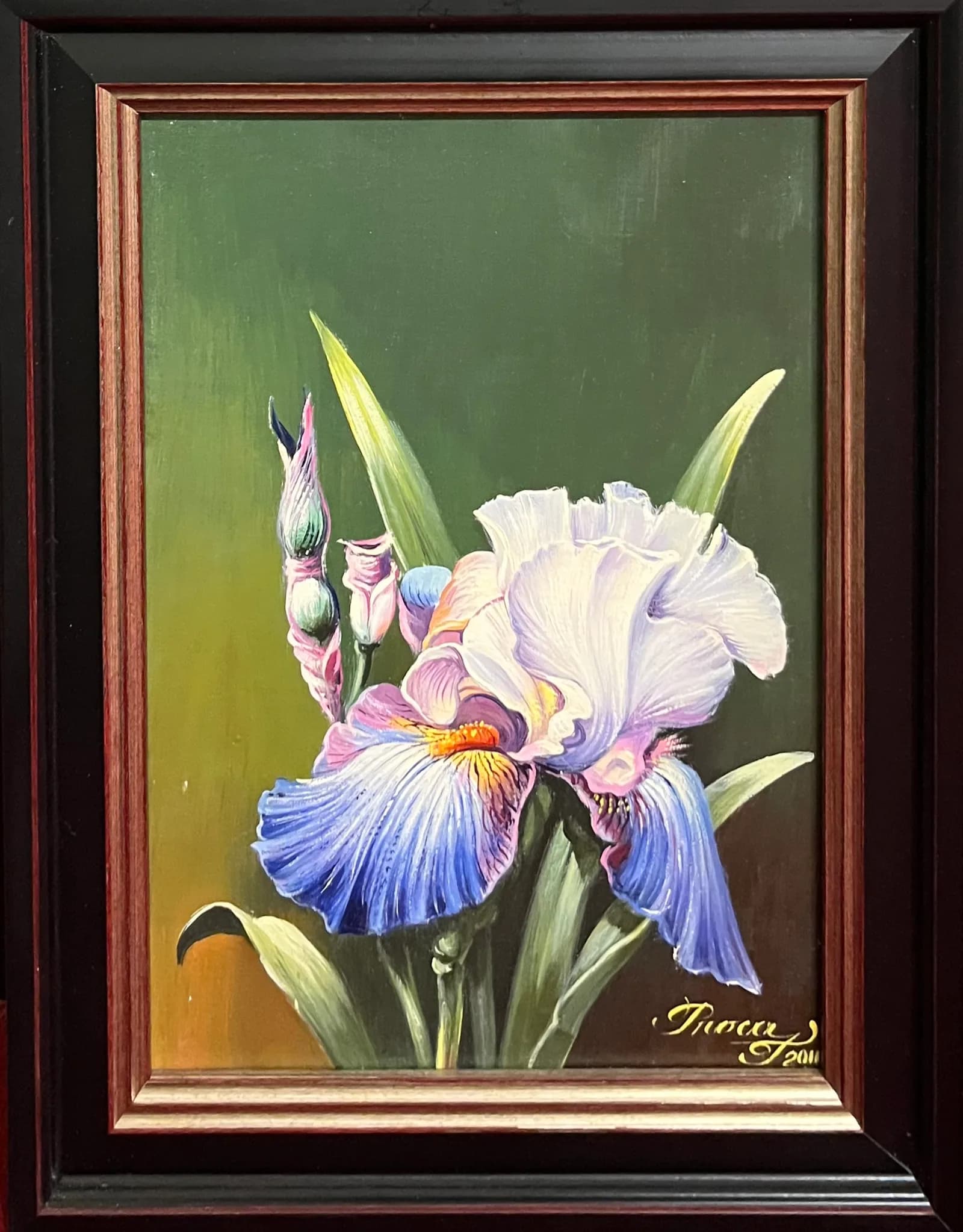 Iris albastru — Titu Proca, ulei pe pânză